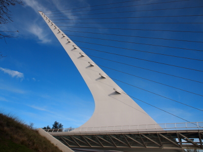 [This image focuses on the mast with the 14 cables which extend from it to support the bridge.]